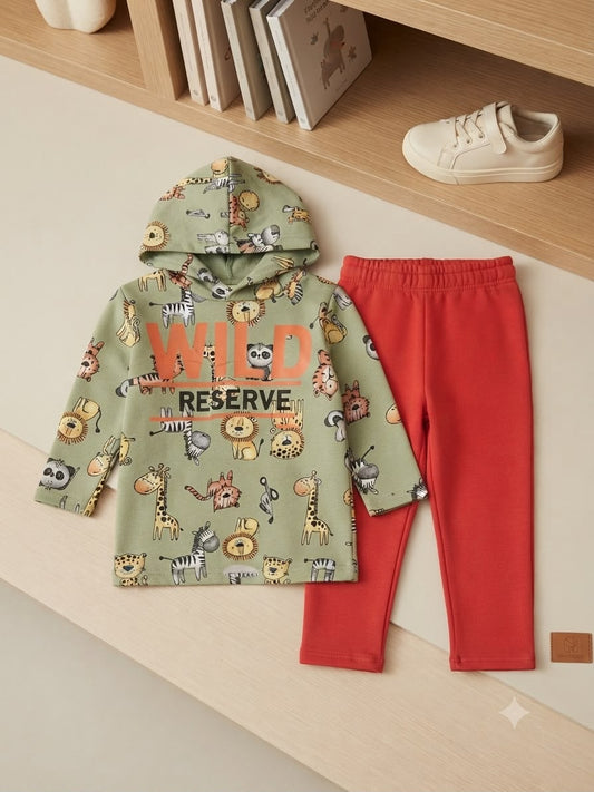 Conjunto Infantil Flanelado Animais